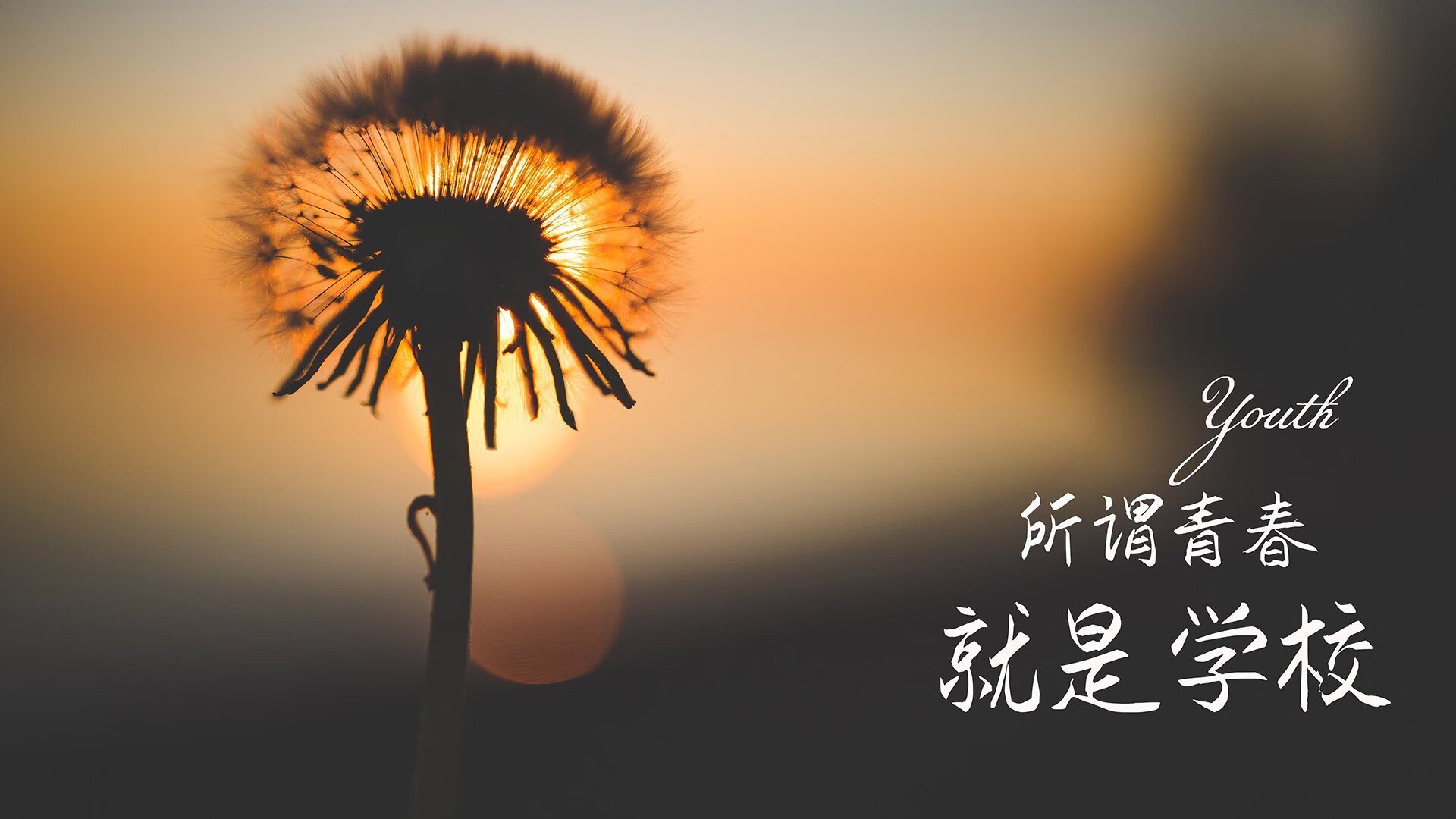 篮网组织严密配合默契再取胜，篮网_我们配合调查