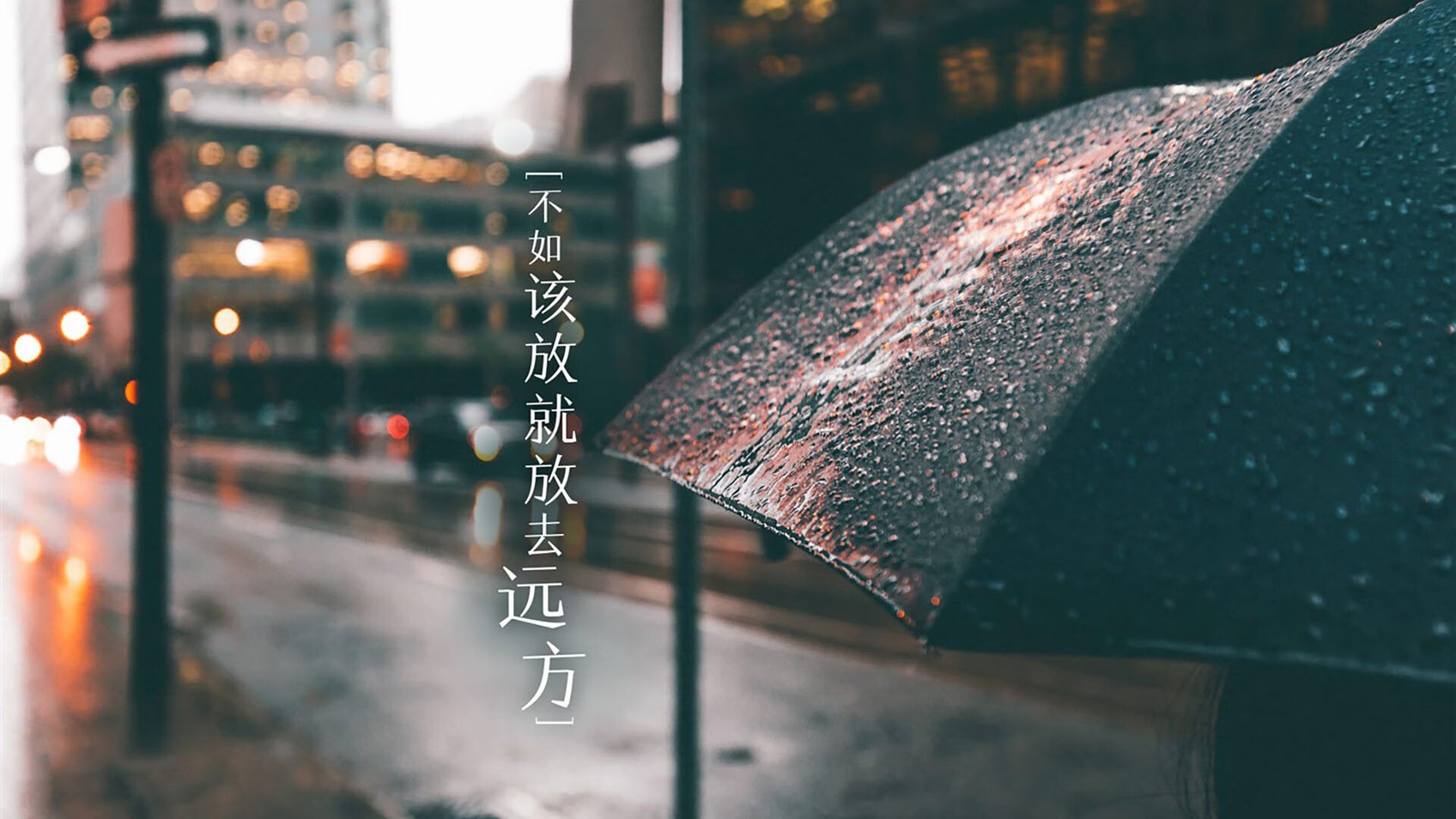 爱游戏体育app-谢菲联防守严密，刀锋战士誓保联赛资格，谢菲联对莱切城直播