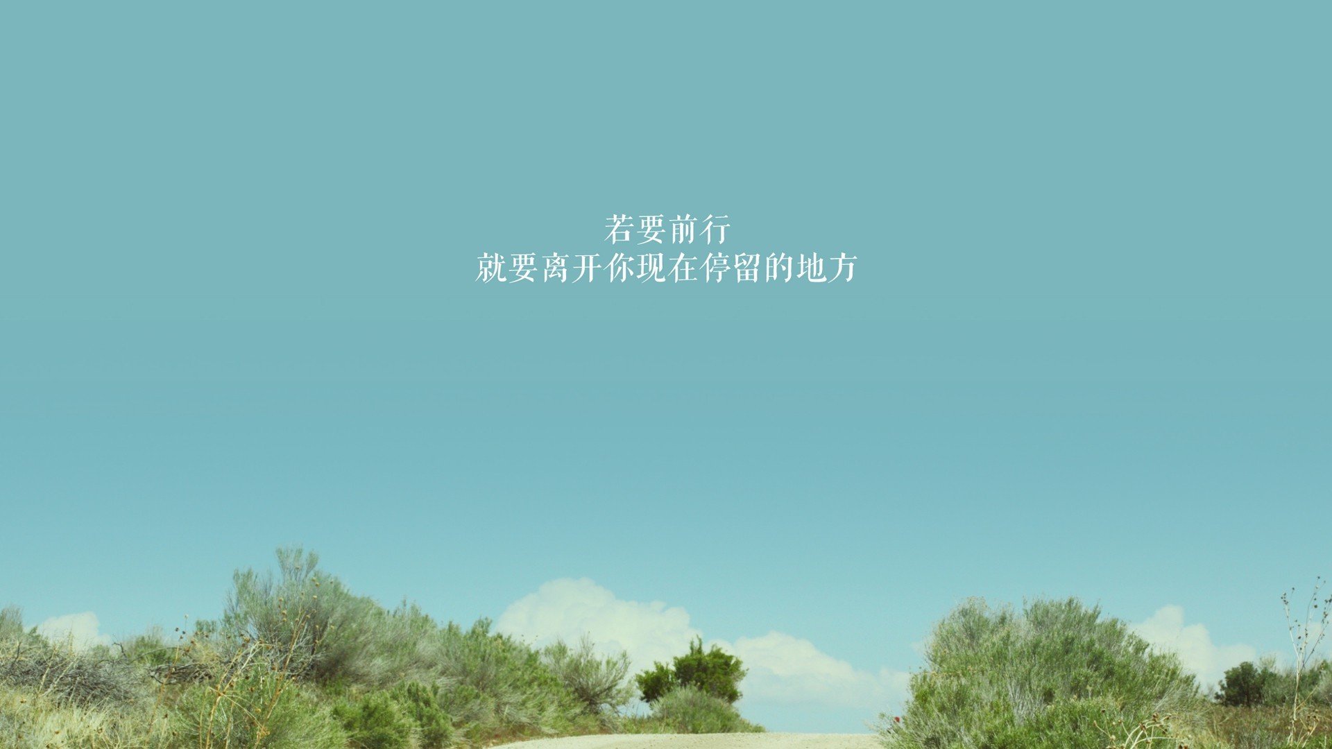 辽宁主场再胜,队员表现尽显实力抢下大胜！，辽宁足球主场