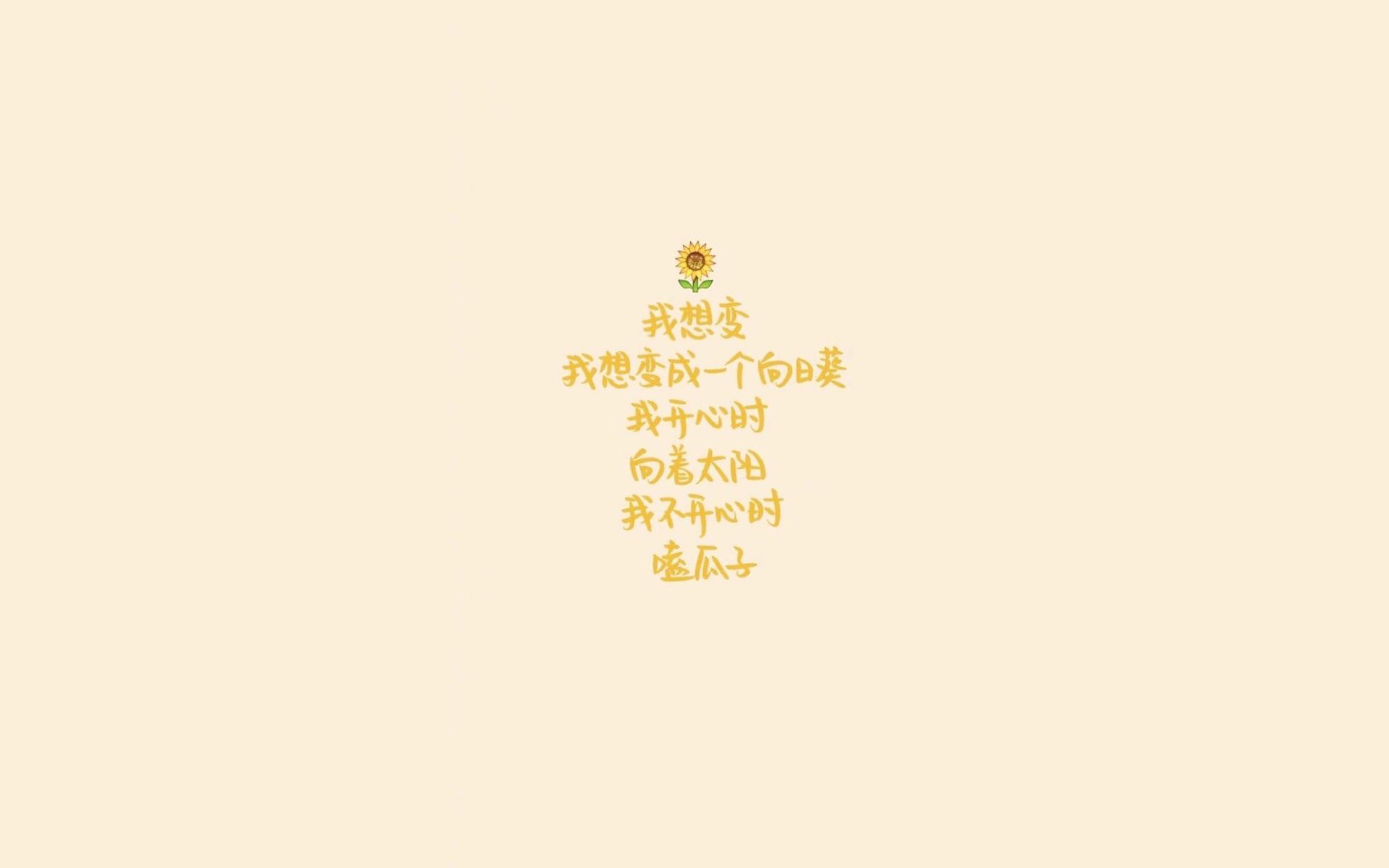 辽宁主场再胜,队员表现尽显实力抢下大胜！，辽宁足球主场