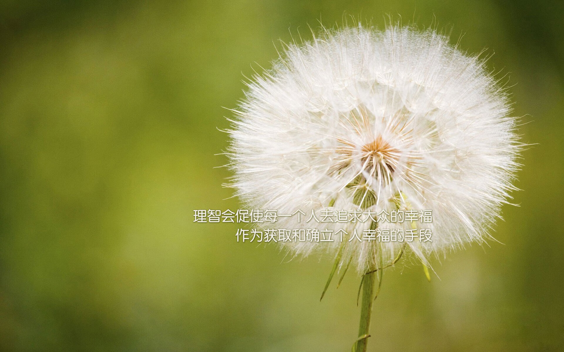 西甲球队赛季中期使用AI预测进攻成功率优化训练内容，西甲技术统计