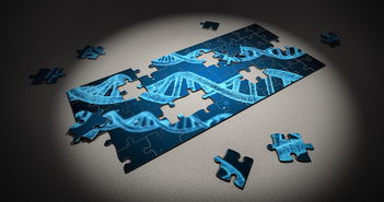 AIYOUXI.COM-高校运动损伤预防技术及应用研究，运动损伤的预防大学体育