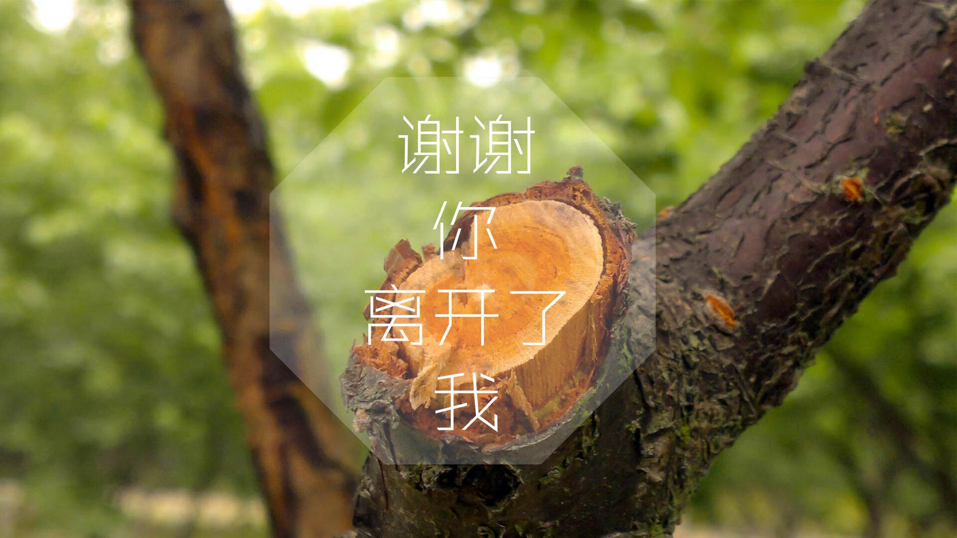 世界杯激情激荡：每一场都让人热血沸腾，世界杯精彩瞬间视频