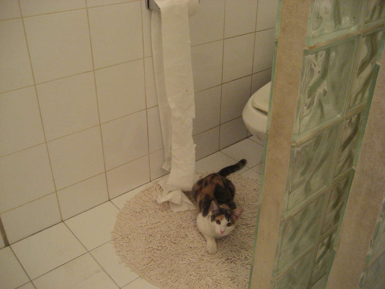 乌干达男篮在非洲预赛中拼搏奋战，迈向新高度，乌干达篮球比赛