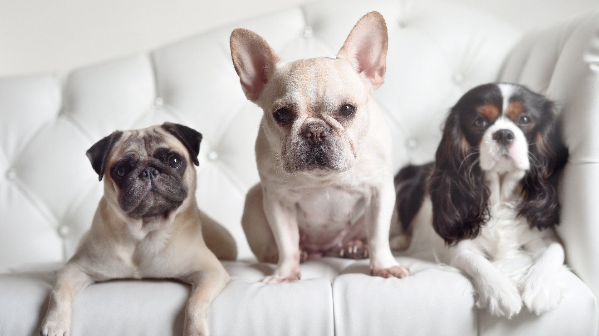 爱游戏 电竞-动作规范性与世界顶尖水平同步提升，动作规范到位