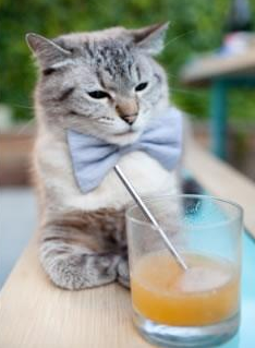 意甲团队协作:默契点燃战场!,意甲队伍