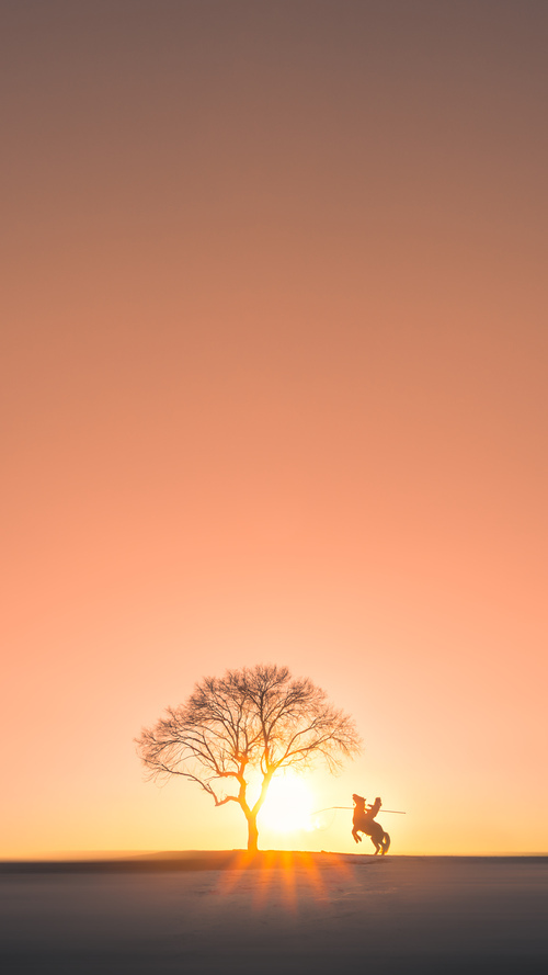 球员跨界综艺节目展现多面魅力吸引大量非体育观众关注，跨界体育明星