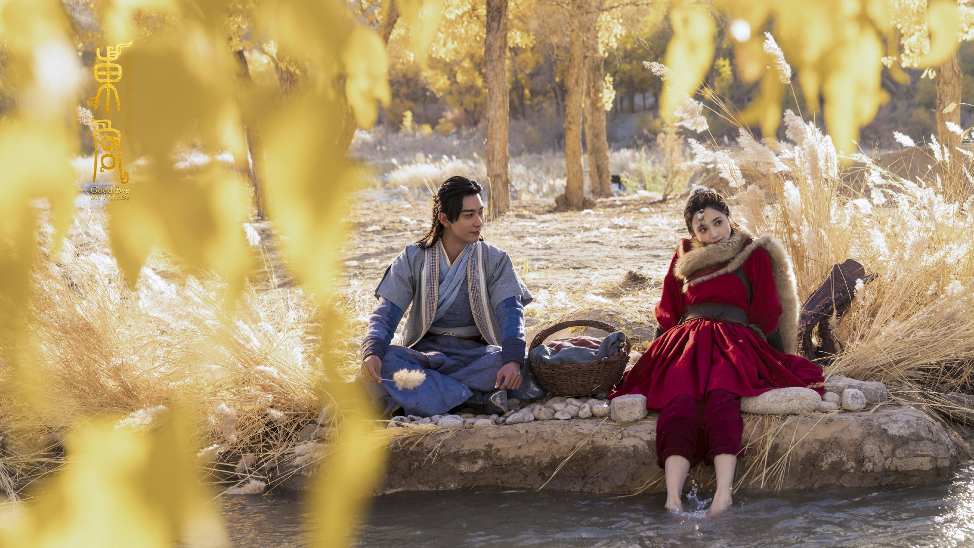 自由泳冲刺比利时保持领先节奏,自由泳 冲刺