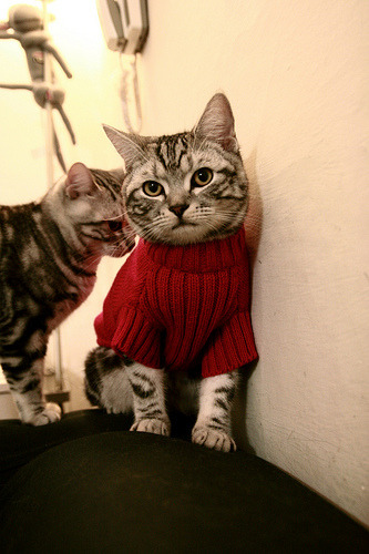 英格兰男队的战术创新与传统优势对比,英格兰队风格打法