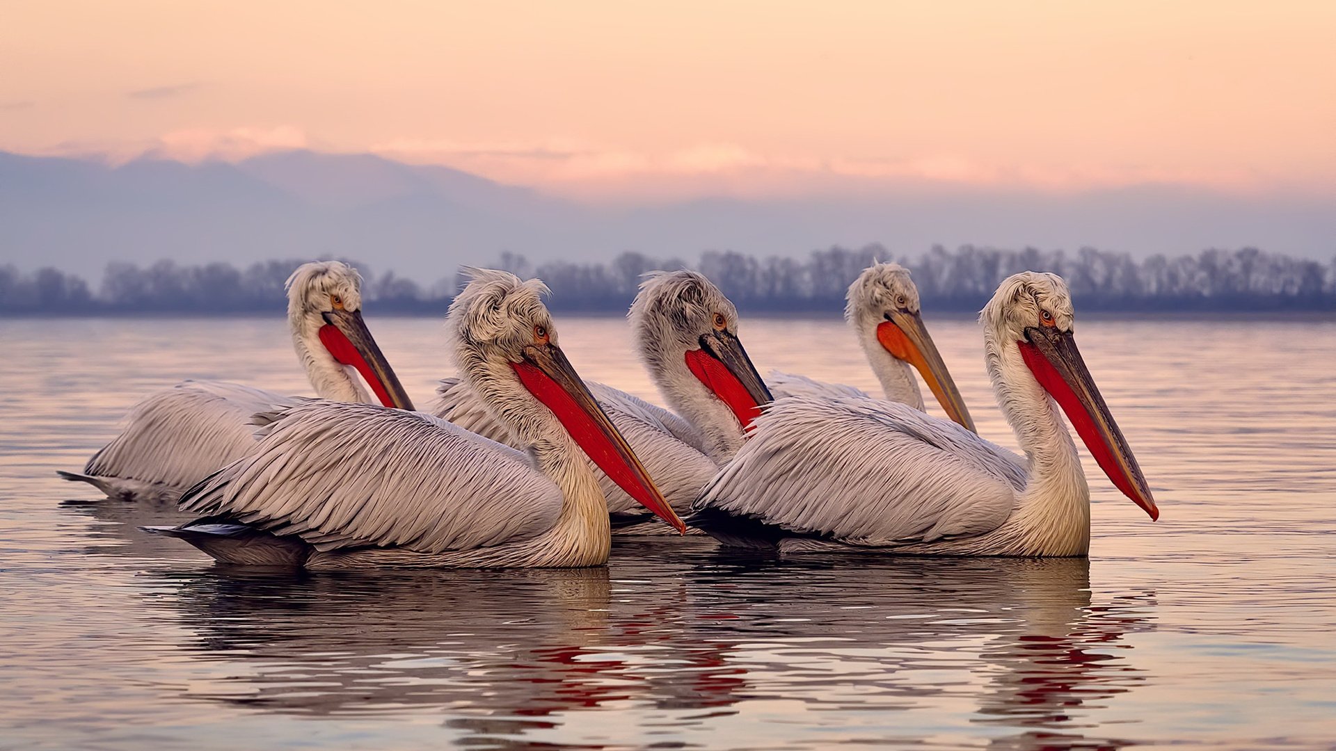 阿森纳青训再传佳音，培养未来的足球明星